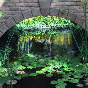 Meet your Posher, Marie